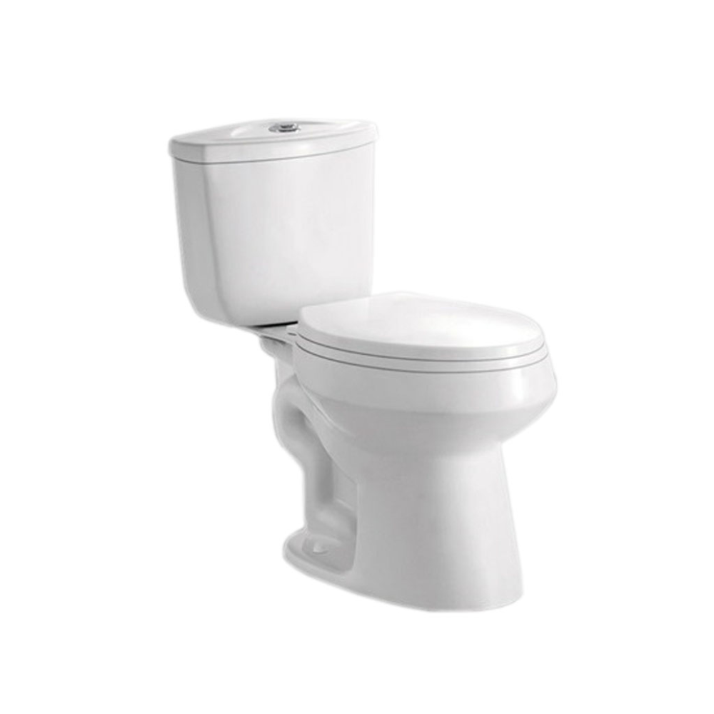 Two Piece Toilet WF-309DF